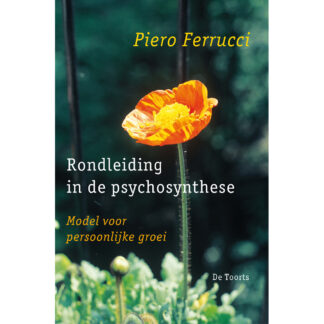 Rondleiding in de psychosynthese