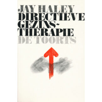 Directieve gezinstherapie