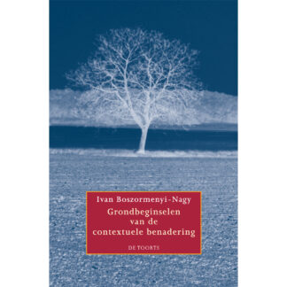 Grondbeginselen van de contextuele benadering